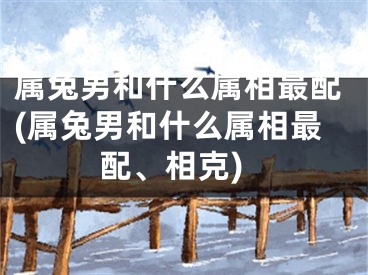 属兔男和什么属相最配(属兔男和什么属相最配、相克)