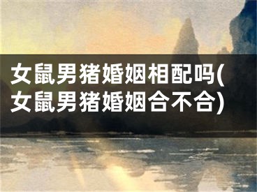 女鼠男猪婚姻相配吗(女鼠男猪婚姻合不合)