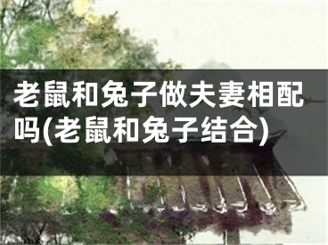 老鼠和兔子做夫妻相配吗(老鼠和兔子结合)