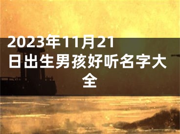 2023年11月21日出生男孩好听名字大全