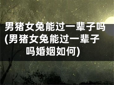 男猪女兔能过一辈子吗(男猪女兔能过一辈子吗婚姻如何)