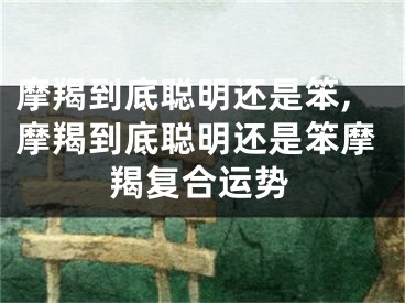 摩羯到底聪明还是笨,摩羯到底聪明还是笨摩羯复合运势