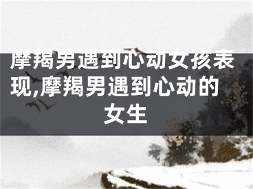 摩羯男遇到心动女孩表现,摩羯男遇到心动的女生