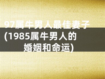 97属牛男人最佳妻子(1985属牛男人的婚姻和命运)