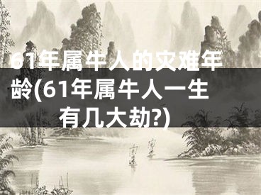 61年属牛人的灾难年龄(61年属牛人一生有几大劫?)