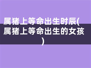 属猪上等命出生时辰(属猪上等命出生的女孩)