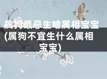 属狗最忌生啥属相宝宝(属狗不宜生什么属相宝宝)