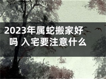 2023年属蛇搬家好吗 入宅要注意什么