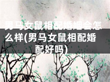 男马女鼠相配婚姻会怎么样(男马女鼠相配婚配好吗)