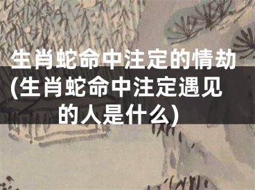 生肖蛇命中注定的情劫(生肖蛇命中注定遇见的人是什么)