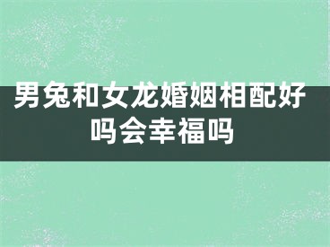 男兔和女龙婚姻相配好吗会幸福吗