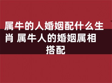 属牛的人婚姻配什么生肖 属牛人的婚姻属相搭配