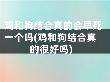 鸡和狗结合真的会早死一个吗(鸡和狗结合真的很好吗)