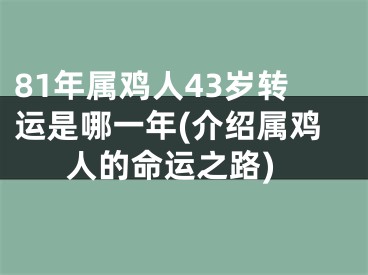 81年属鸡人43岁转运是哪一年(介绍属鸡人的命运之路)