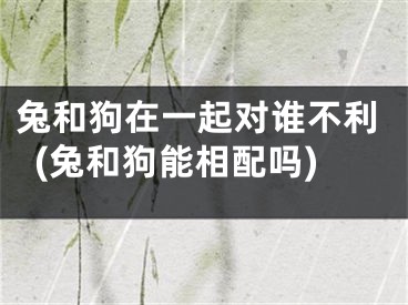 兔和狗在一起对谁不利(兔和狗能相配吗)