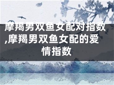 摩羯男双鱼女配对指数,摩羯男双鱼女配的爱情指数