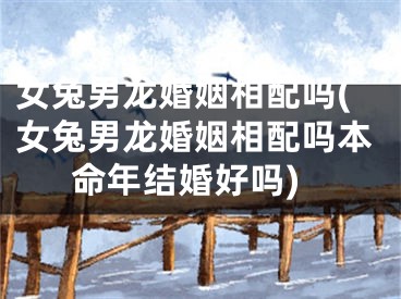 女兔男龙婚姻相配吗(女兔男龙婚姻相配吗本命年结婚好吗)