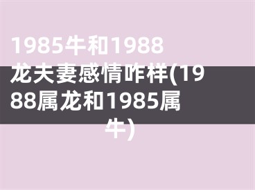 1985牛和1988龙夫妻感情咋样(1988属龙和1985属牛)