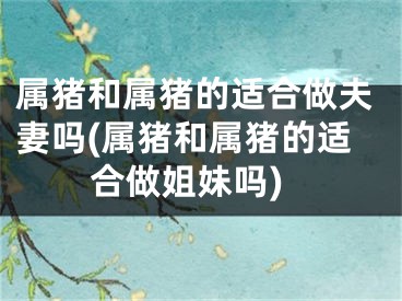 属猪和属猪的适合做夫妻吗(属猪和属猪的适合做姐妹吗)