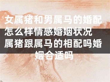 女属猪和男属马的婚配怎么样情感婚姻状况 属猪跟属马的相配吗婚姻合适吗