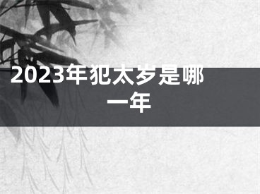 2023年犯太岁是哪一年