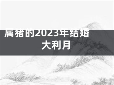 属猪的2023年结婚大利月