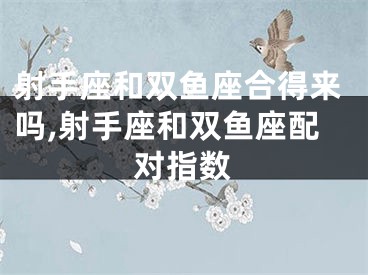 射手座和双鱼座合得来吗,射手座和双鱼座配对指数