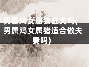 男属鸡女属猪旺夫吗(男属鸡女属猪适合做夫妻吗)