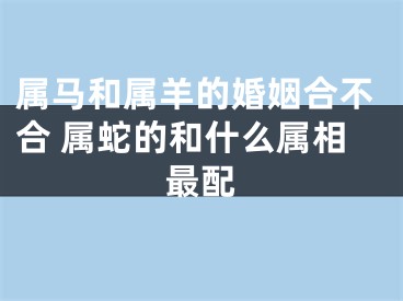 属马和属羊的婚姻合不合 属蛇的和什么属相最配