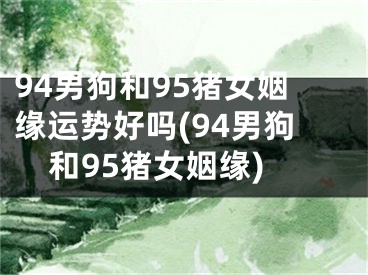 94男狗和95猪女姻缘运势好吗(94男狗和95猪女姻缘)