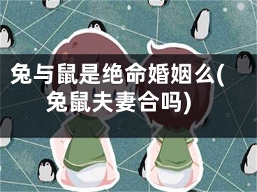 兔与鼠是绝命婚姻么(兔鼠夫妻合吗)
