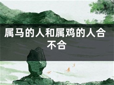 属马的人和属鸡的人合不合
