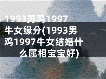 1993男鸡1997牛女缘分(1993男鸡1997牛女结婚什么属相宝宝好)