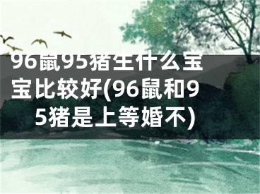 96鼠95猪生什么宝宝比较好(96鼠和95猪是上等婚不)