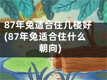 87年兔适合住几楼好(87年兔适合住什么朝向)