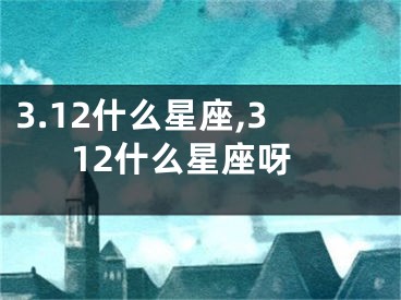 3.12什么星座,312什么星座呀