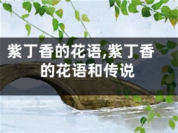 紫丁香的花语,紫丁香的花语和传说