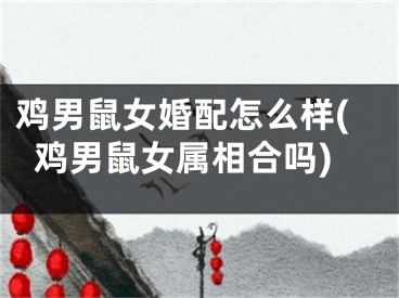 鸡男鼠女婚配怎么样(鸡男鼠女属相合吗)