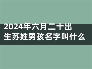 2024年六月二十出生苏姓男孩名字叫什么