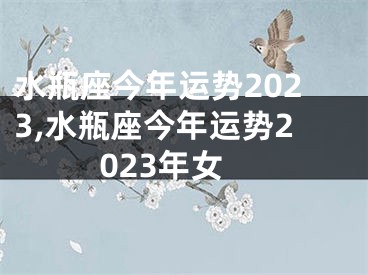 水瓶座今年运势2023,水瓶座今年运势2023年女