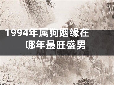 1994年属狗姻缘在哪年最旺盛男