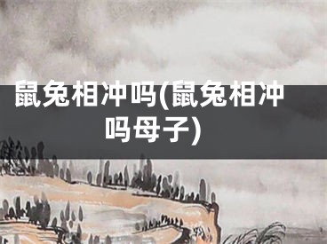 鼠兔相冲吗(鼠兔相冲吗母子)