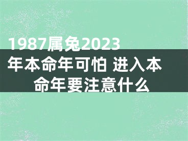 1987属兔2023年本命年可怕 进入本命年要注意什么