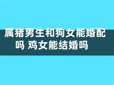 属猪男生和狗女能婚配吗 鸡女能结婚吗