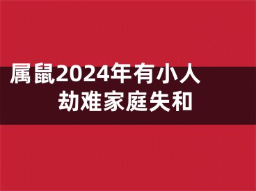 属鼠2024年有小人劫难家庭失和