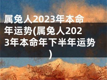 属兔人2023年本命年运势(属兔人2023年本命年下半年运势)
