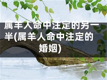 属羊人命中注定的另一半(属羊人命中注定的婚姻)