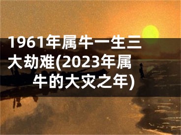 1961年属牛一生三大劫难(2023年属牛的大灾之年)