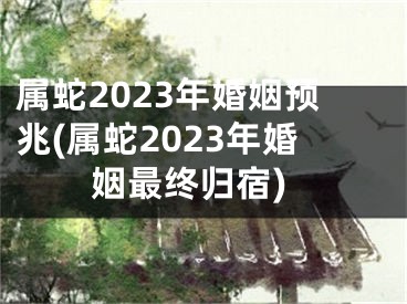 属蛇2023年婚姻预兆(属蛇2023年婚姻最终归宿)