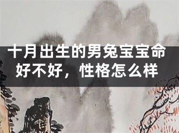 十月出生的男兔宝宝命好不好，性格怎么样